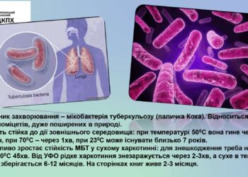 01-15-1647_0_26-dodatok_page-0005