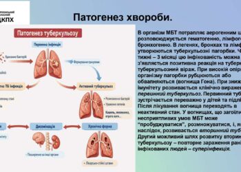 01-15-1647_0_26-dodatok_page-0008